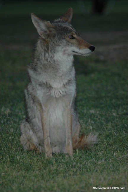 DSC_0186